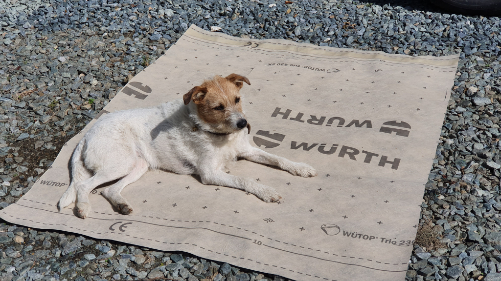 Der Hund findet´s gut